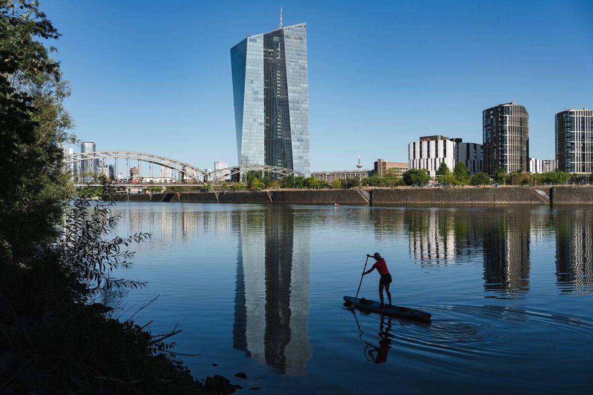 ECB official backs central-bank money on blockchain